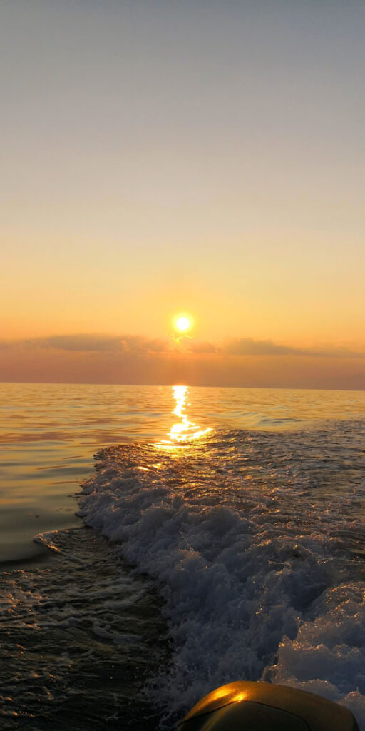view of sunset in the sea from the Calypso
