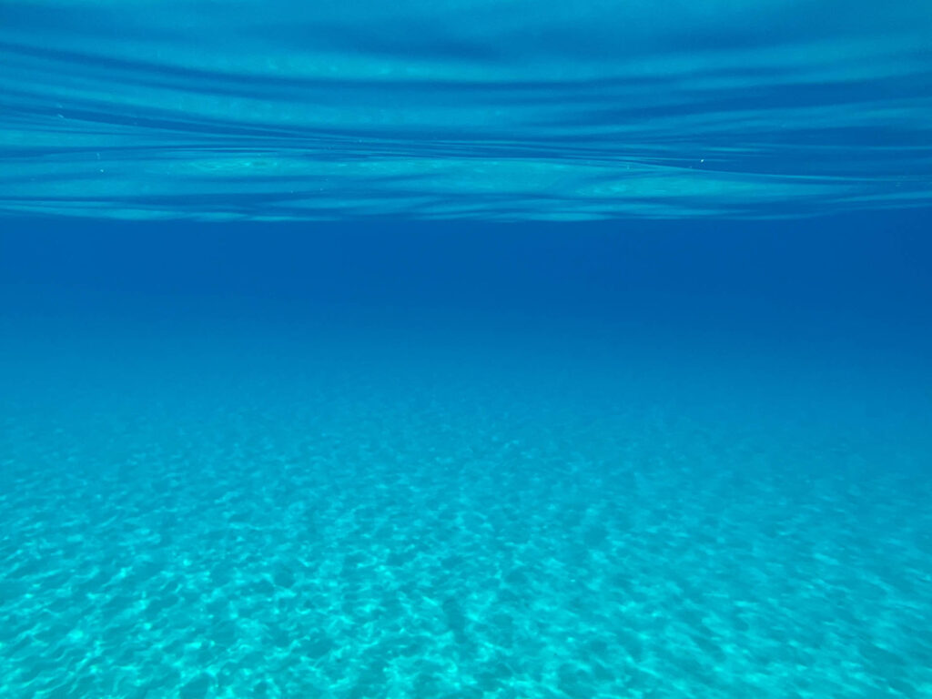 Underwater view of sandy sea bottom