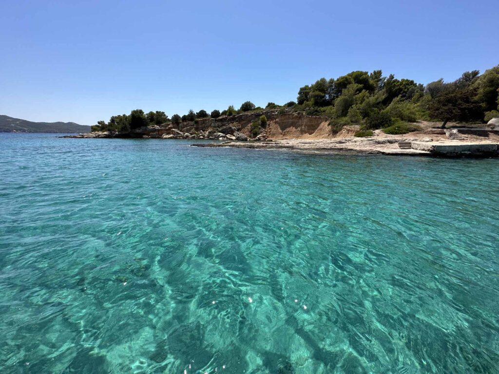 Small bay with olive trees