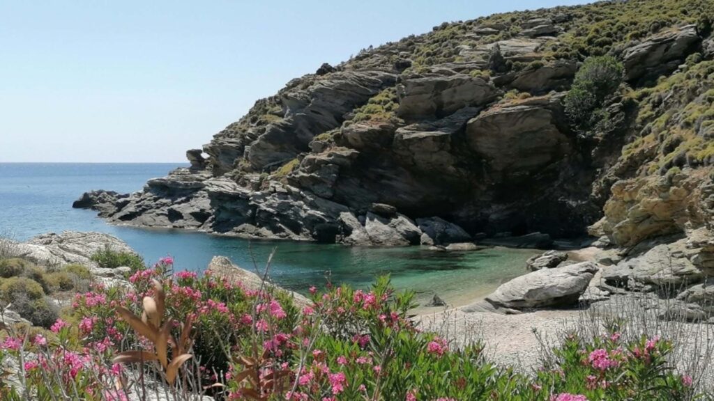 Cave on a beach with pink flowers