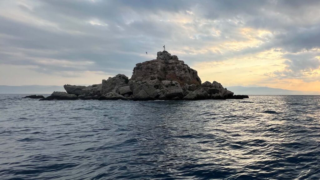 Small rocky island in the sea with a seagull